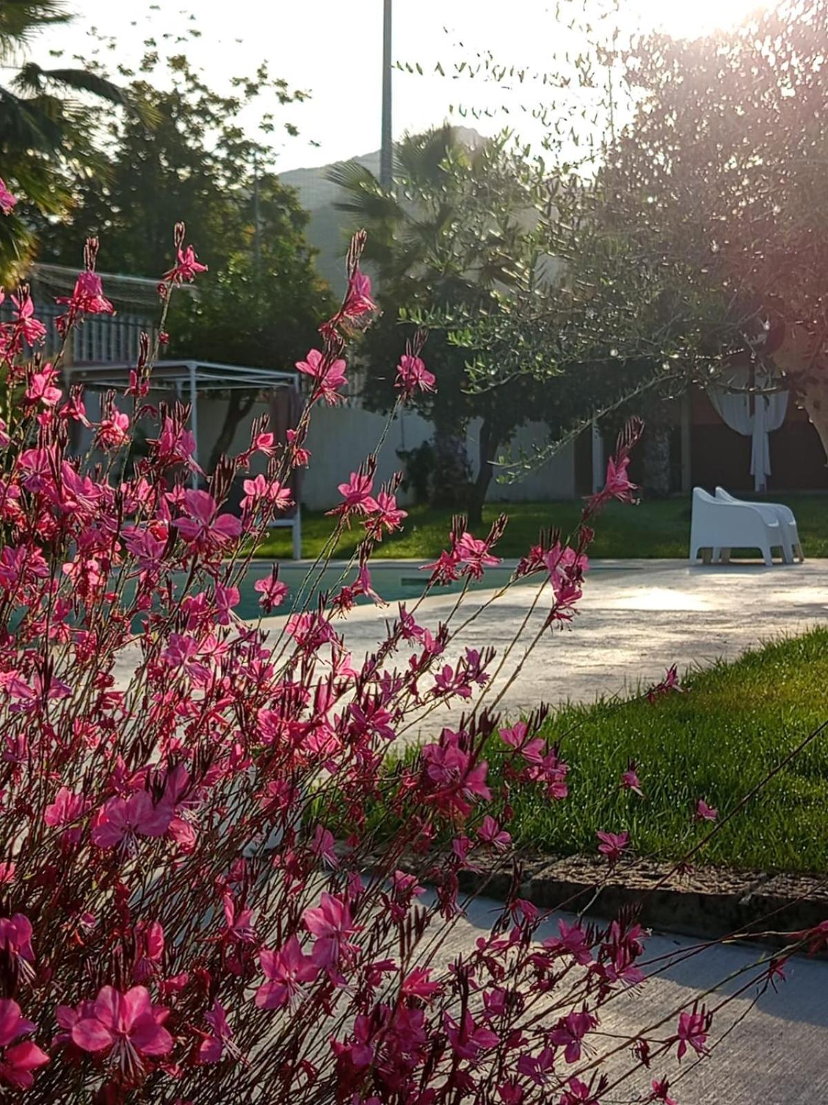 B&B Villa Limao Sarno Exteriör bild